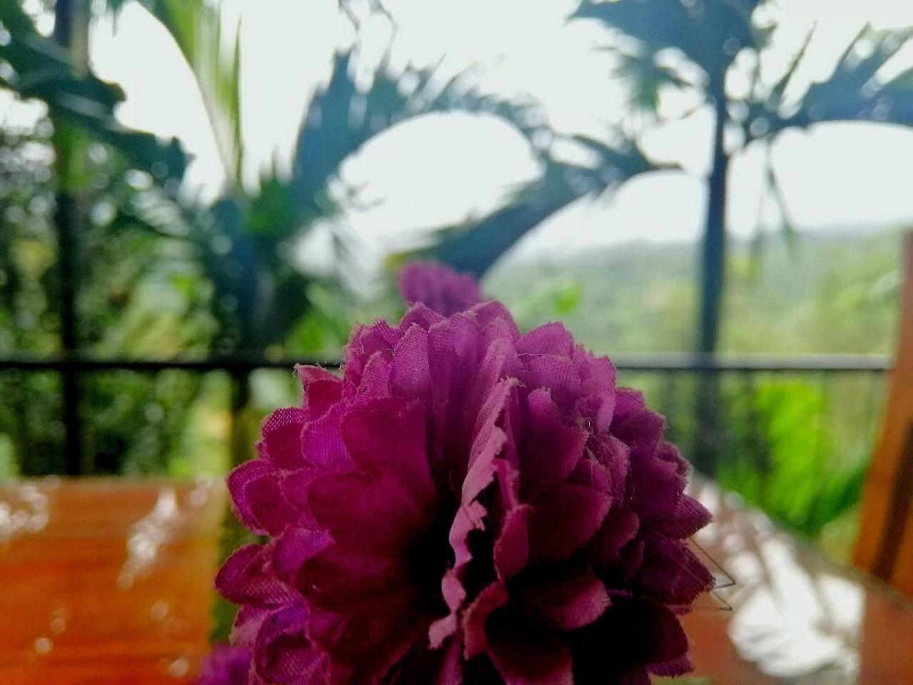 Nature Casa BЭлла Экстерьер фото
